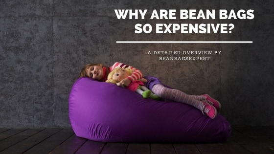 Why are bean bags so expensive