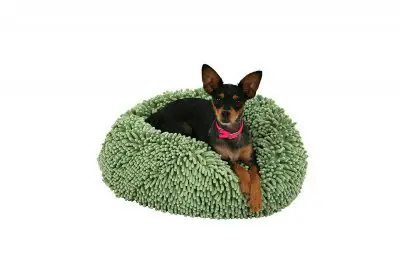 Bean Bags for Dogs