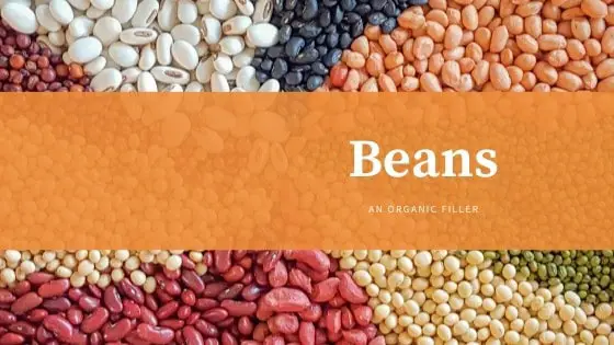beans for bean bags
