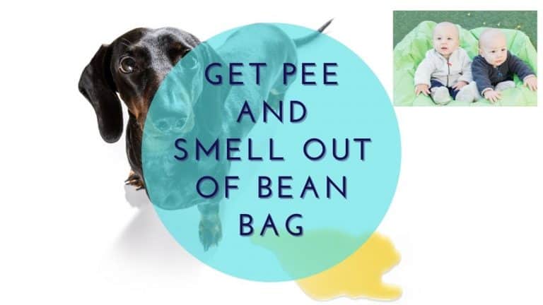 Get Pee And Pee Smell Out Of Bean Bag