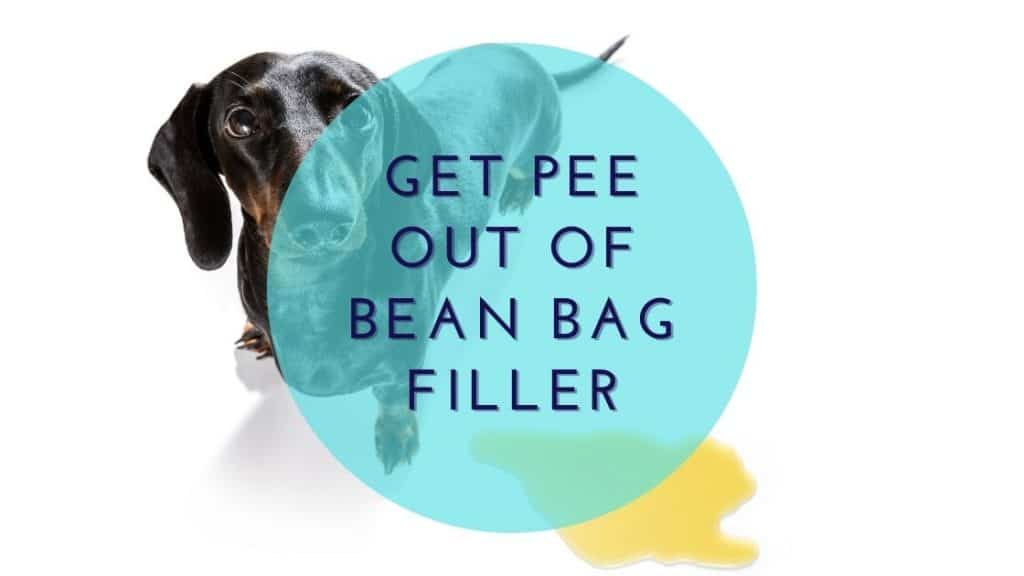 get pee out of bean bag filler