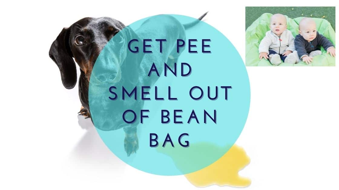 Get Pee And Pee Smell Out Of Bean Bag - Bean Bags Expert