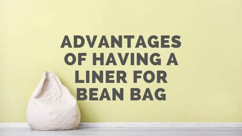 liner for bean bag