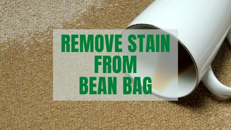 Remove a Stain From a Bean Bag – 9 Methods Explained