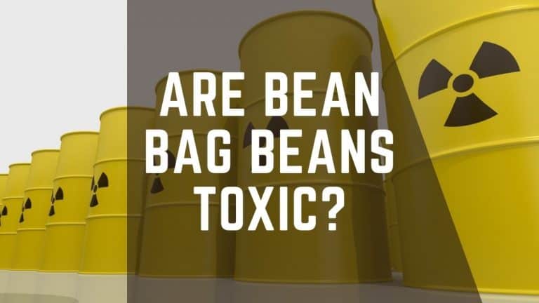 Are Bean Bag Beans Toxic? – Read Before Purchase