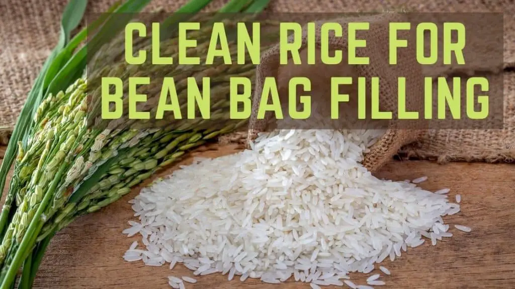 clean rice