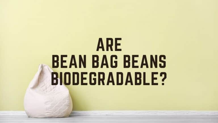 Are Bean Bag Beans Biodegradable? – 9 Bean Types Analyzed