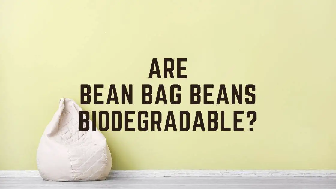 bean bag beans biodegradable