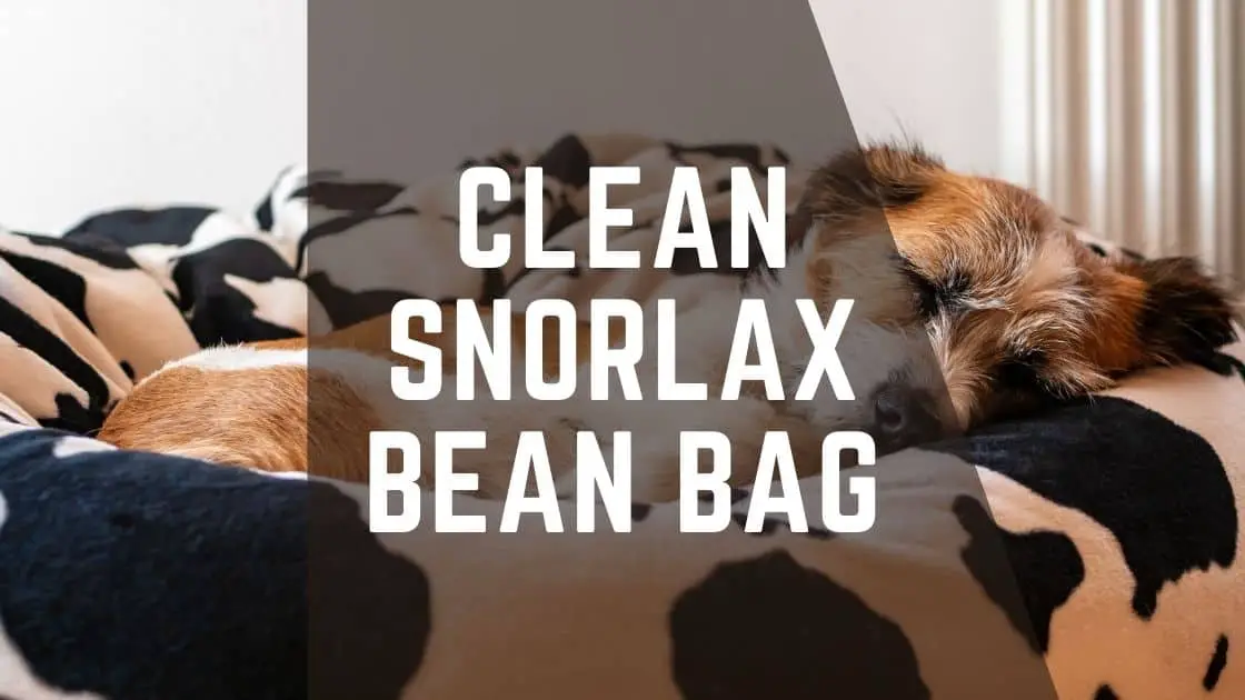 clean snorlax bean bag
