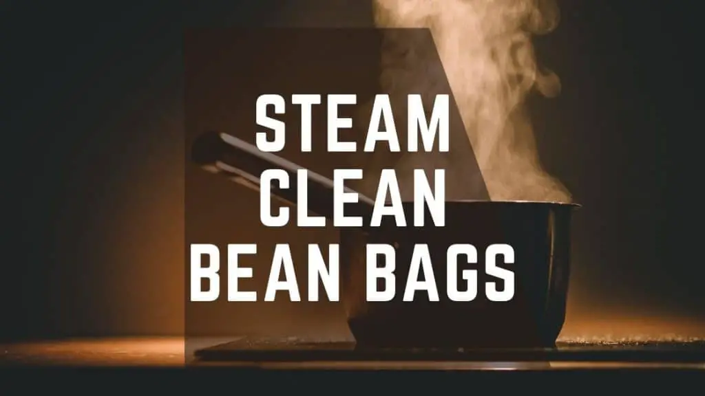 steam clean bean bags