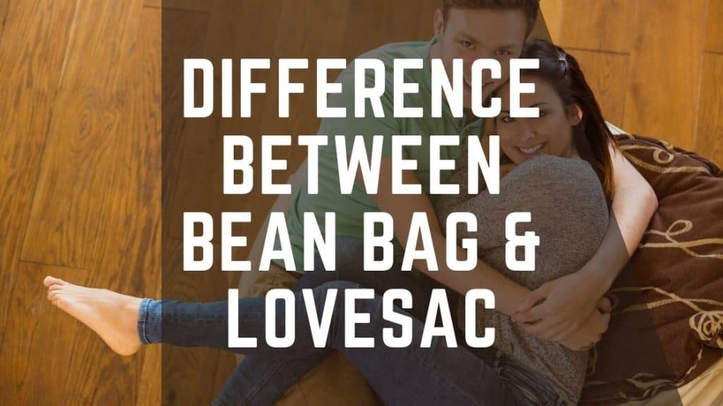 Difference Between Bean Bag and LoveSac