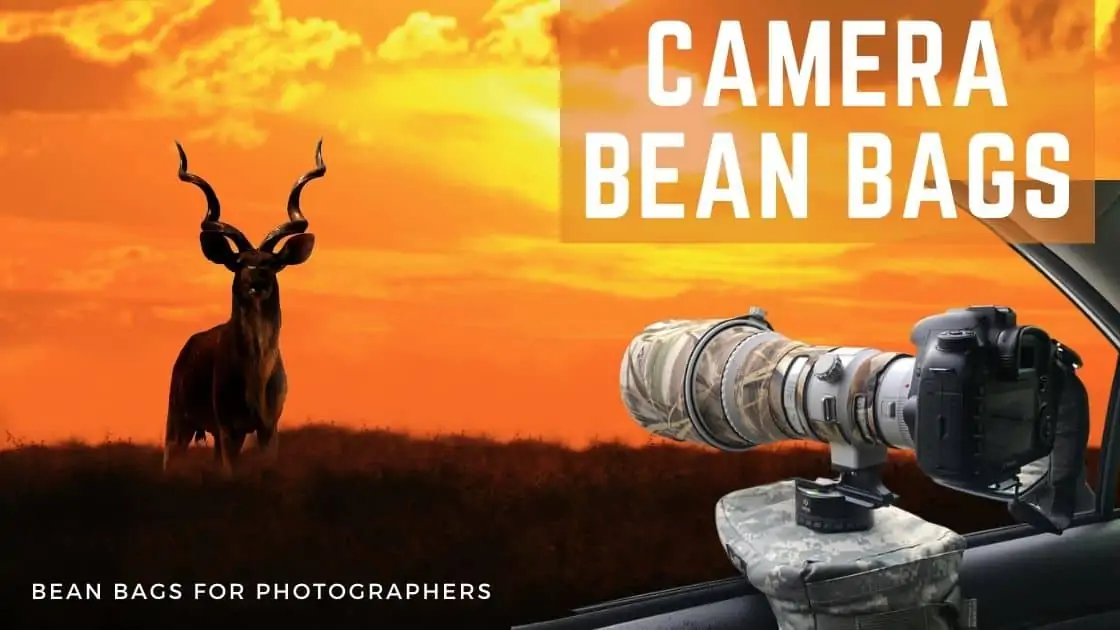 Make a Camera Bean Bag At Home Step by Step Guide Bean Bags Expert