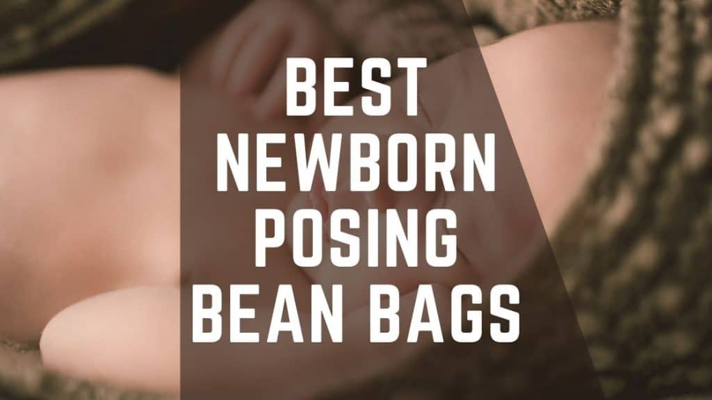 Best Newborn Posing Bean Bags