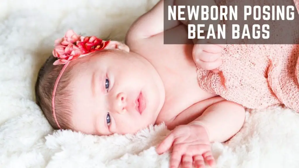 Newborn Posing Bean Bags