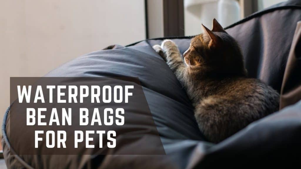 waterproof bean bags for pets