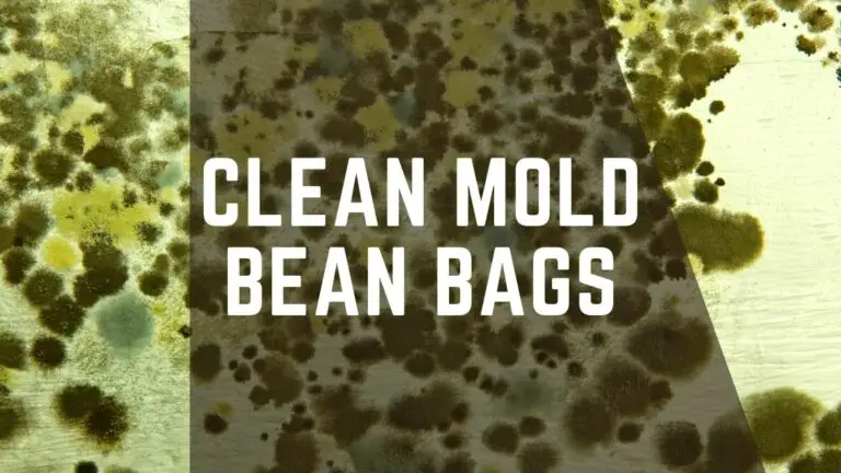 How to Clean Mold Bean Bag? – Answer With Complete Guide