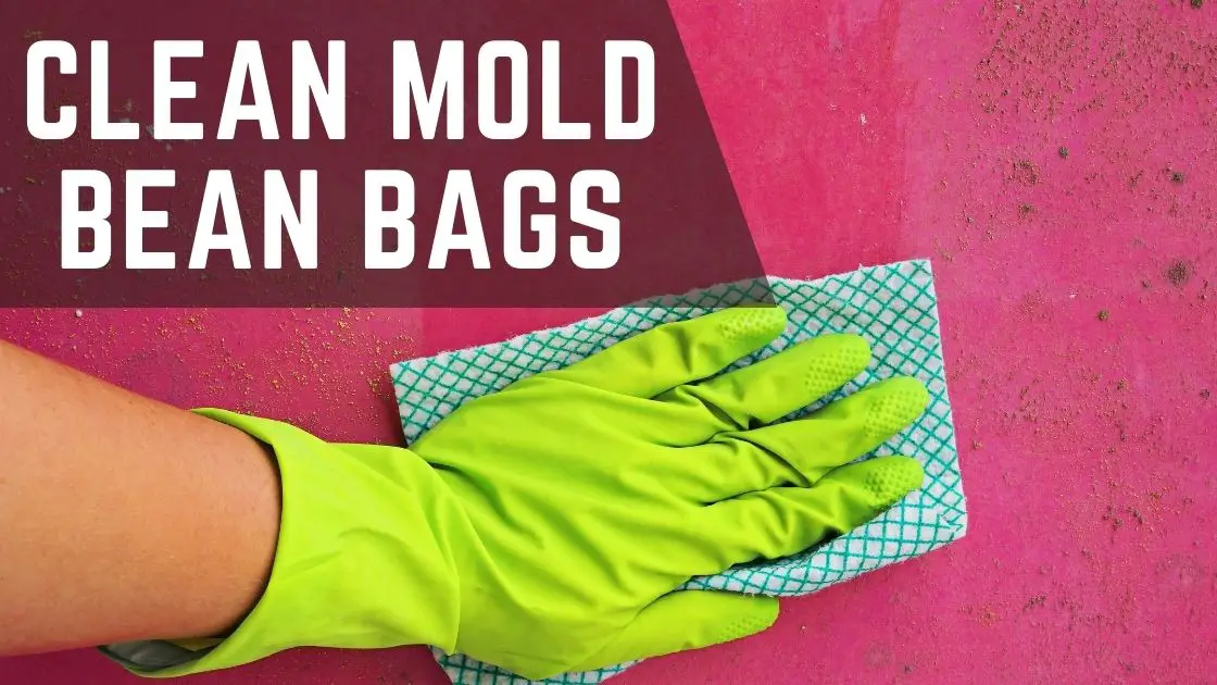 How to Clean Mold Bean Bag? Answer With Complete Guide Bean Bags Expert